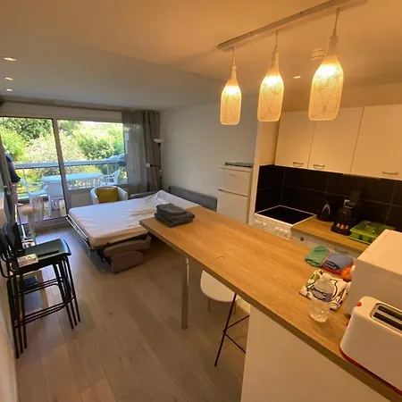Appartement - 2p Climatise Avec Piscine Et A 8mn Des Plages