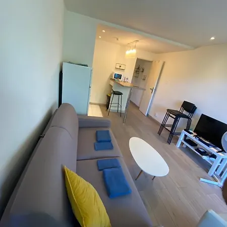 Appartement - 2p Climatise Avec Piscine Et A 8mn Des Plages Antibes